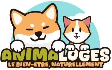 Logo Anima-Loges