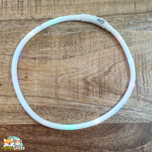 Anneau lumineux Flash USB Trixie multicolore pour chien