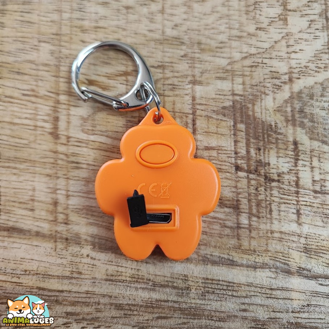 Flasher USB Trixie rechargeable pour chien