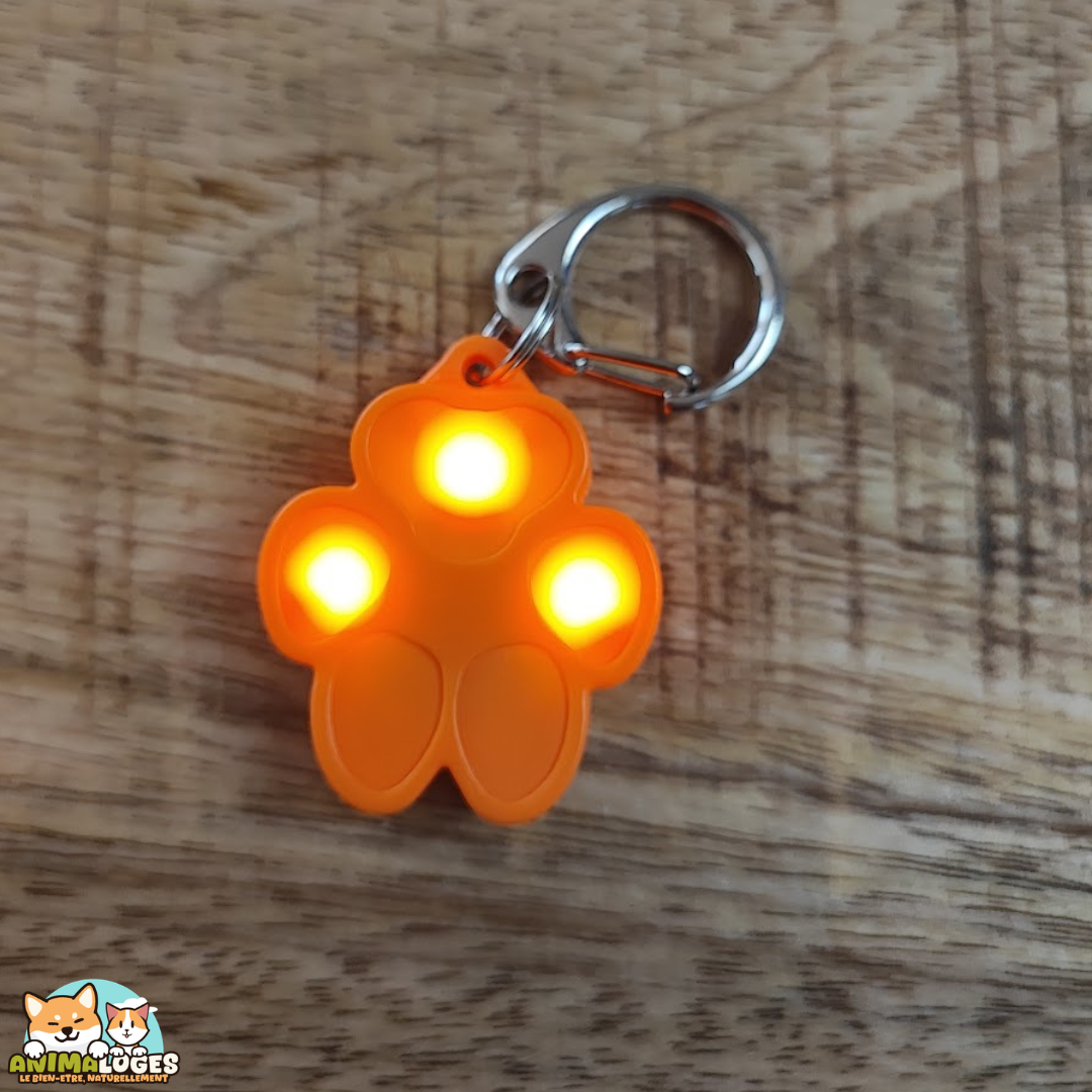 Flasher USB Trixie rechargeable pour chien