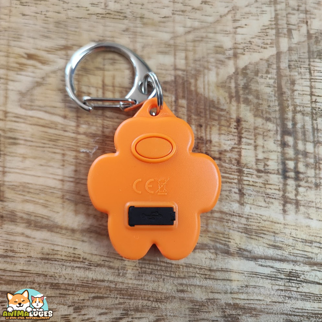 Flasher USB Trixie rechargeable pour chien