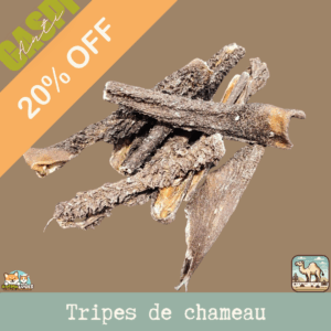 Tripes de chameau