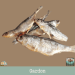 Morceaux de gardon séché présentés sur une table.