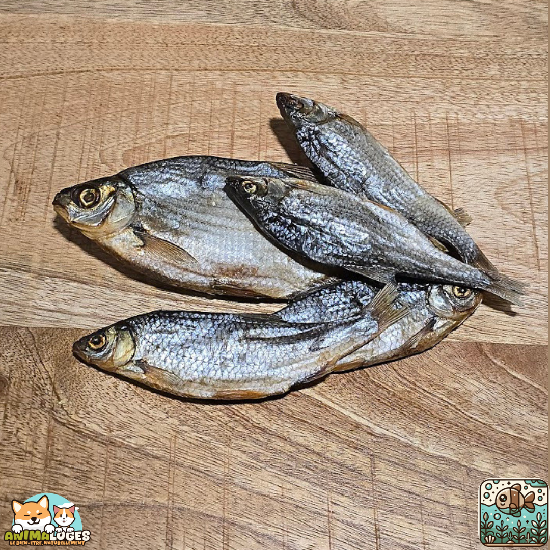 Gardons séchés naturels pour chien – friandise poisson