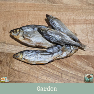 Morceaux de gardon séché présentés sur une table.