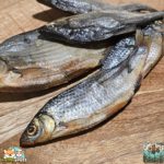 Gardons séchés naturels pour chien – friandise poisson