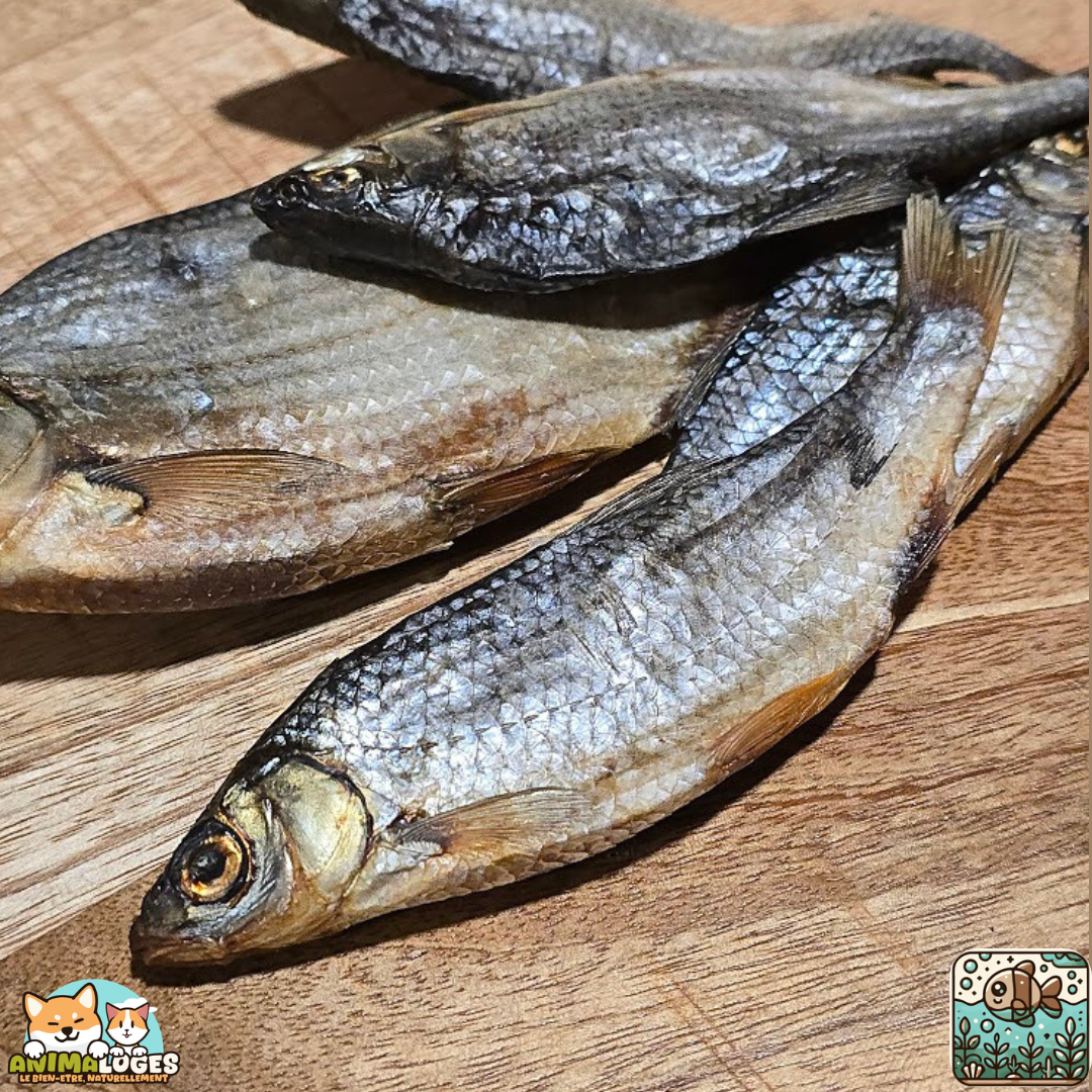 Gardons séchés naturels pour chien – friandise poisson