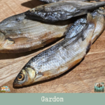 Morceaux de gardon séché présentés sur une table.