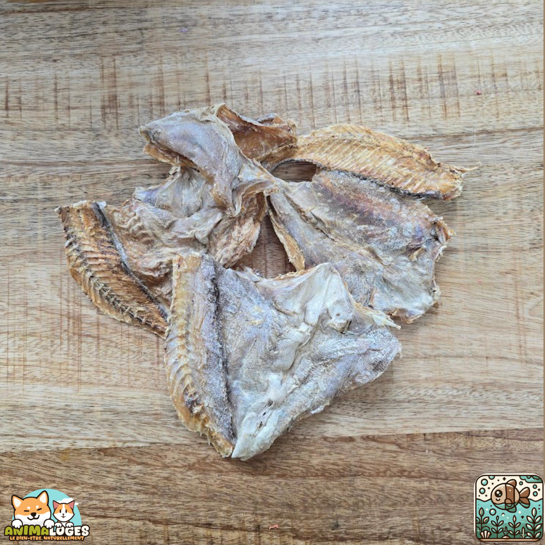 Peau de morue naturelle pour chien – friandise poisson