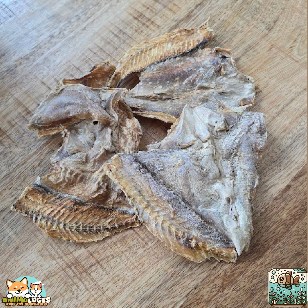 Peau de morue naturelle pour chien – friandise poisson