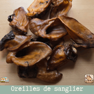 Oreilles de sanglier