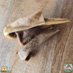 Peau de bœuf 15 cm naturelle pour chien – friandise à mâcher