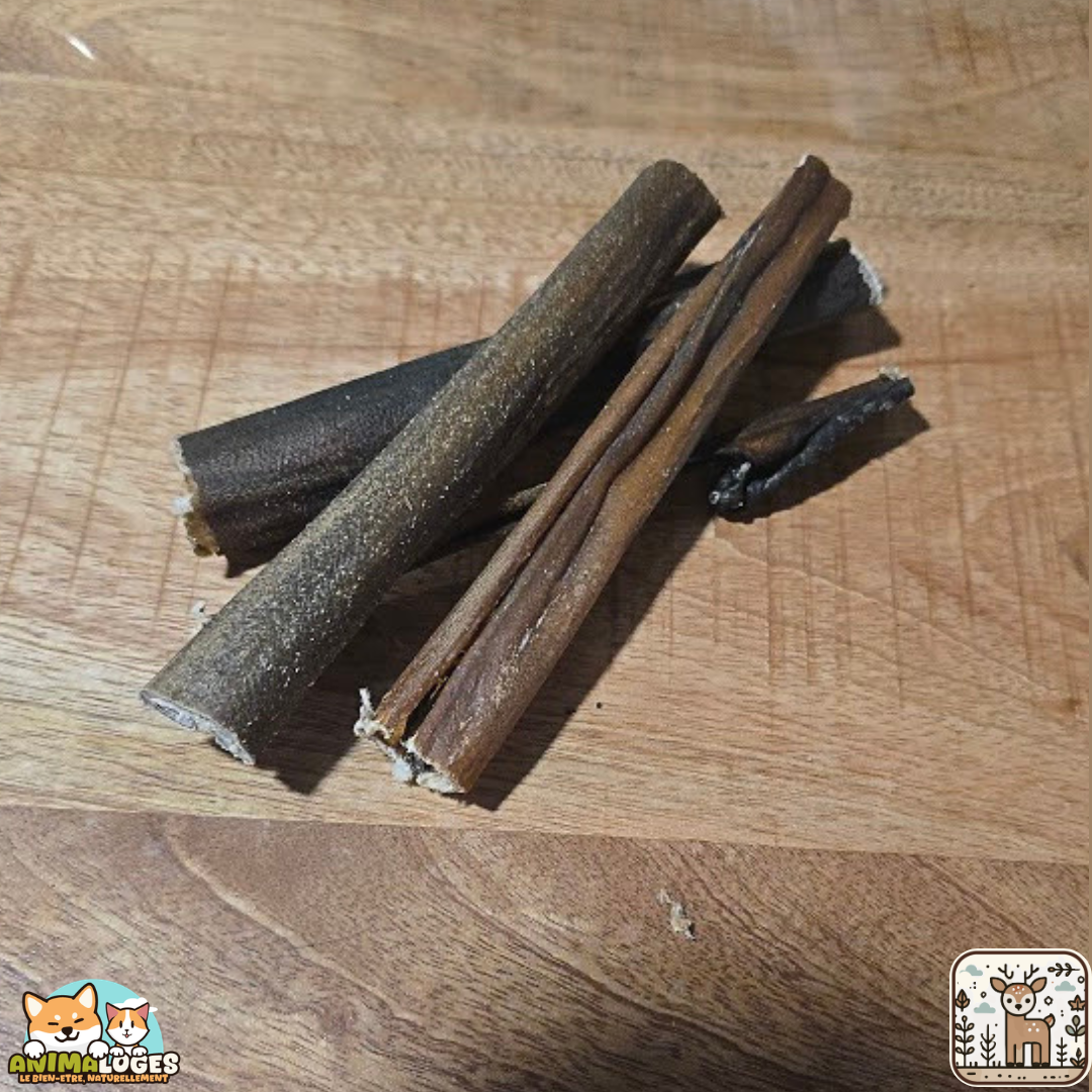 Peau de cerf 15 cm naturelle pour chien – friandise à mâcher