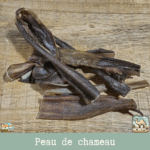 Morceaux de peau de chameau séchée présentés sur une table.