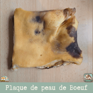 Plaque de peau de bœuf séchée présentée sur une table.