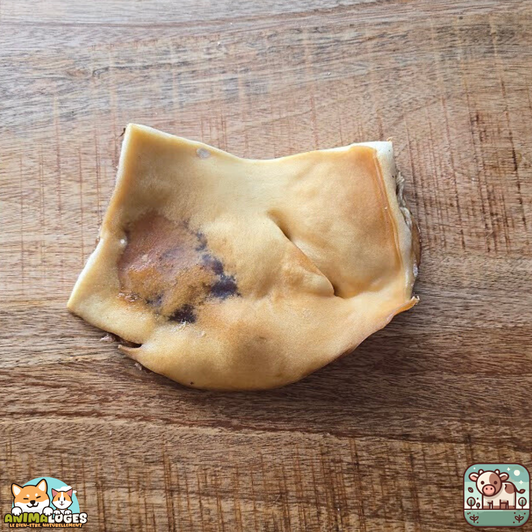 Plaque de peau de bœuf séchée présentée sur une table.