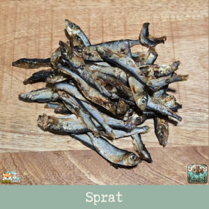 Morceaux de sprat séché présentés sur une table.