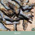 Morceaux de sprat séché présentés sur une table.