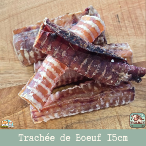 Des trachées de bœuf séchée posée sur une table.