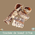 Une trachée de bœuf séchée posée sur une table.