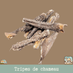 Des morceaux de tripes de chameau séchées posés sur une table.
