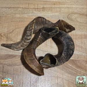 Corne de mouton naturelle pour chien – mastication longue durée