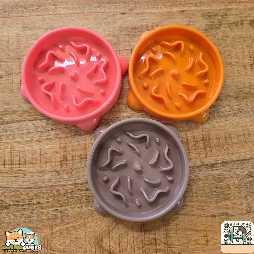 La gamelle Slow Feeder Bini Rond, conçue avec des obstacles bas et des ventouses antidérapantes.