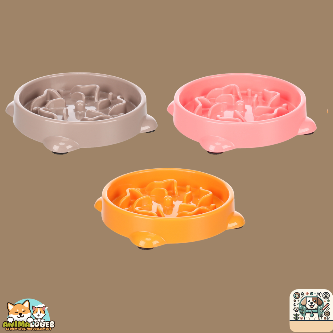 La gamelle Slow Feeder Bini Rond, conçue avec des obstacles bas et des ventouses antidérapantes.