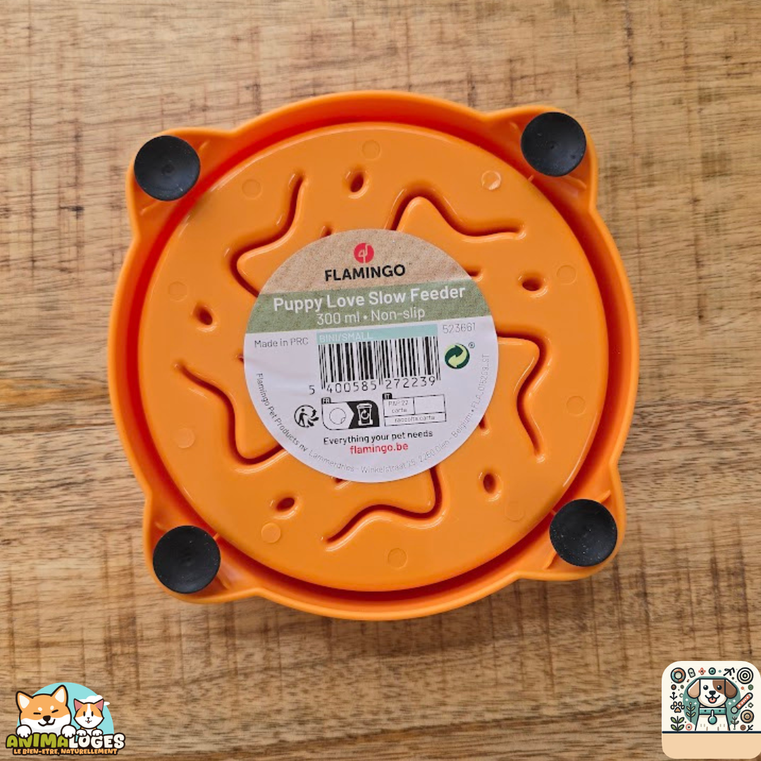 La gamelle Slow Feeder Bini Rond, conçue avec des obstacles bas et des ventouses antidérapantes.