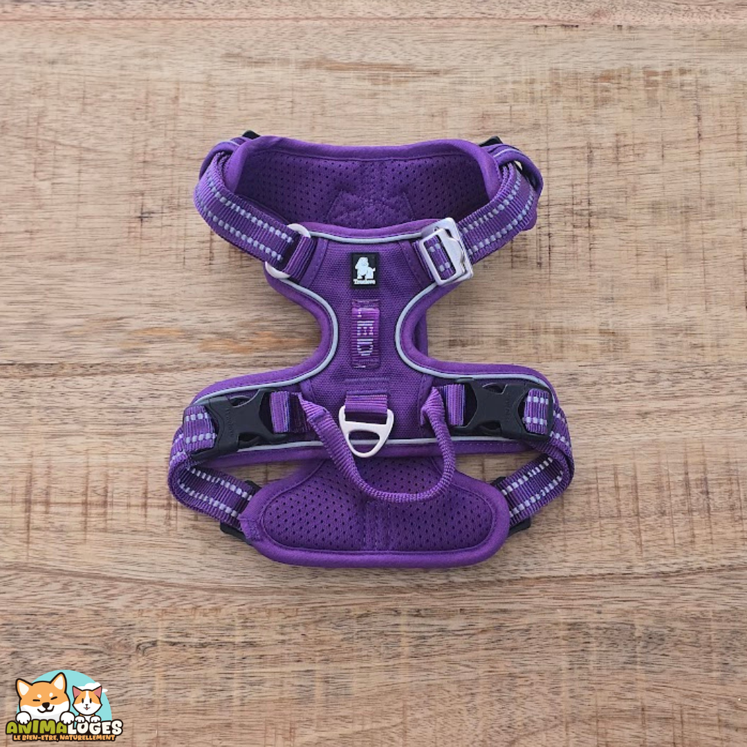 Harnais Truelove Country Plus anti-traction pour chien