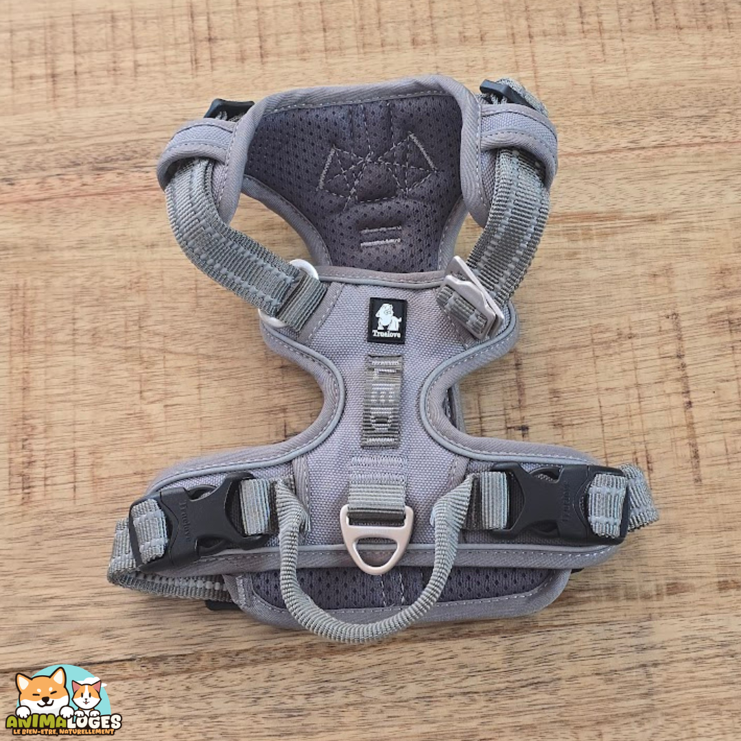 Harnais Truelove Country Plus anti-traction pour chien