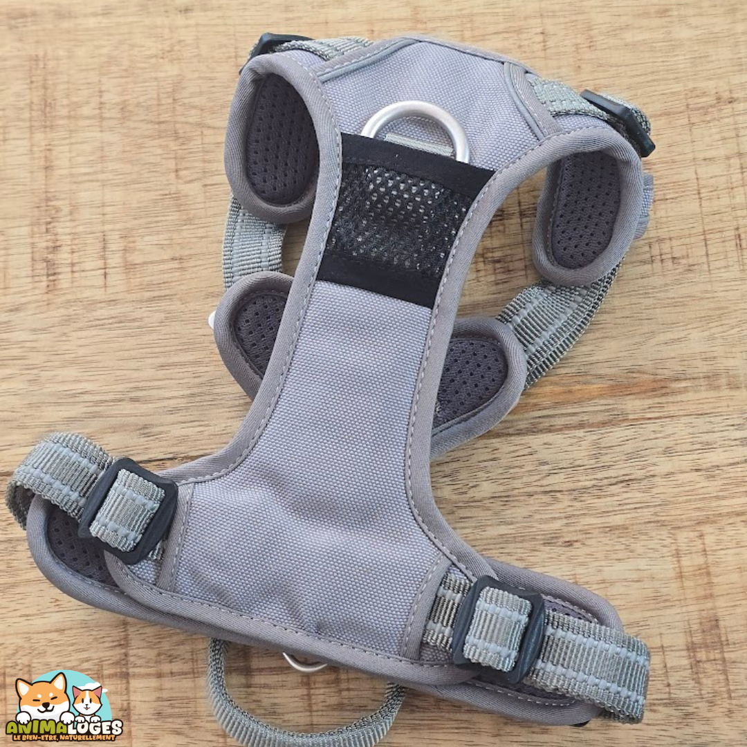 Harnais Truelove Country Plus anti-traction pour chien