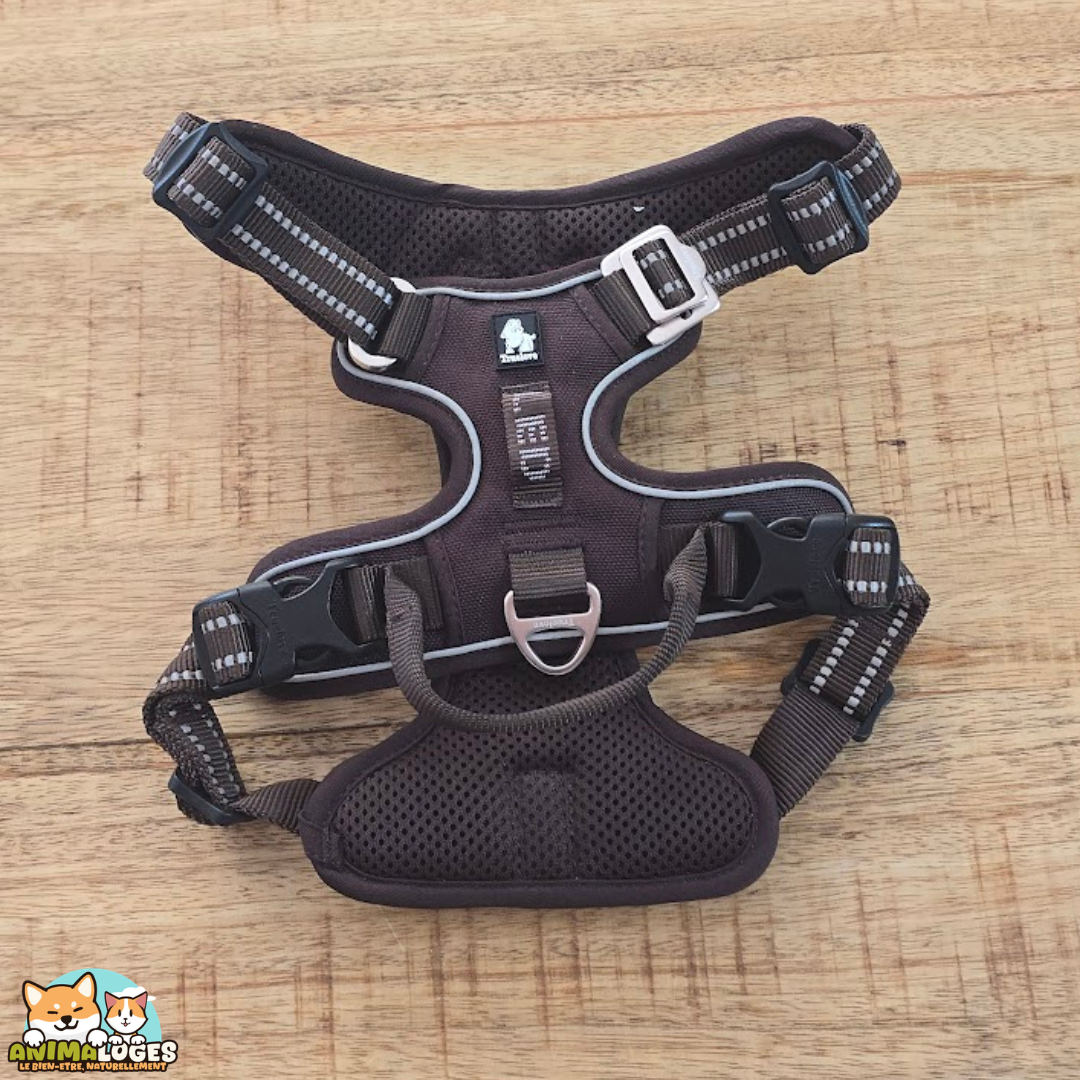 Harnais Truelove Country Plus anti-traction pour chien