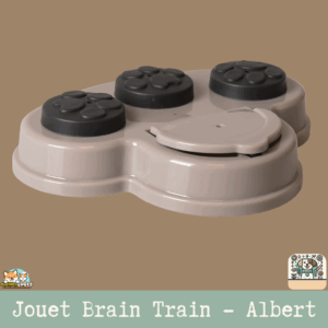 Le jouet interactif Brain Train Albert 1 Gris, montrant ses compartiments.