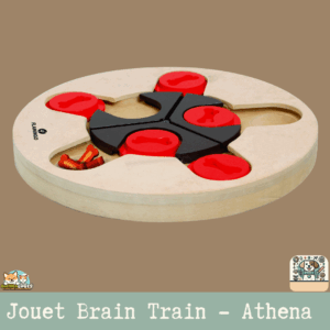Le jouet Brain Train Athena Brun Clair avec ses compartiments à friandises.