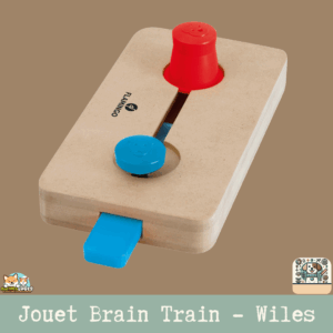 Le jouet Brain Train Wiles en bois avec ses connecteurs visibles.