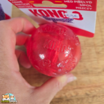 Balle Squeezz KONG rebondissante avec couinement pour chien
