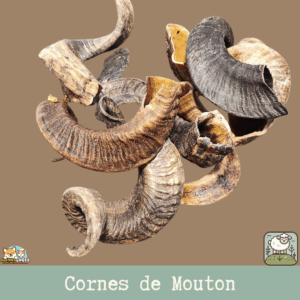 Une corne de mouton séchée pour chien
