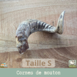 Une corne de mouton séchée pour chien en taille L. Idéal pour les grands chiens.Une corne de mouton séchée pour chien en taille S. Idéal pour les petits chiens.