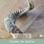 Une corne de mouton séchée pour chien en taille L. Idéal pour les grands chiens.Une corne de mouton séchée pour chien en taille S. Idéal pour les petits chiens.