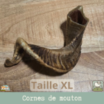 Une corne de mouton séchée pour chien en taille XL. Idéal pour les grands chiens.