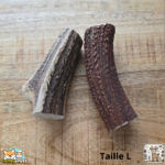 Bois de cerf entier naturel pour chien – mastication longue durée