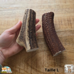 Bois de cerf entier naturel pour chien – mastication longue durée