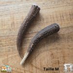 Bois de cerf entier naturel pour chien – mastication longue durée