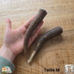 Bois de cerf entier naturel pour chien – mastication longue durée