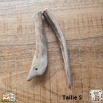 Bois de cerf entier naturel pour chien – mastication longue durée