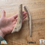 Bois de cerf entier naturel pour chien – mastication longue durée