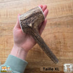 Bois de cerf entier naturel pour chien – mastication longue durée