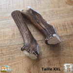 Bois de cerf entier naturel pour chien – mastication longue durée