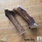 Bois de cerf entier naturel pour chien – mastication longue durée